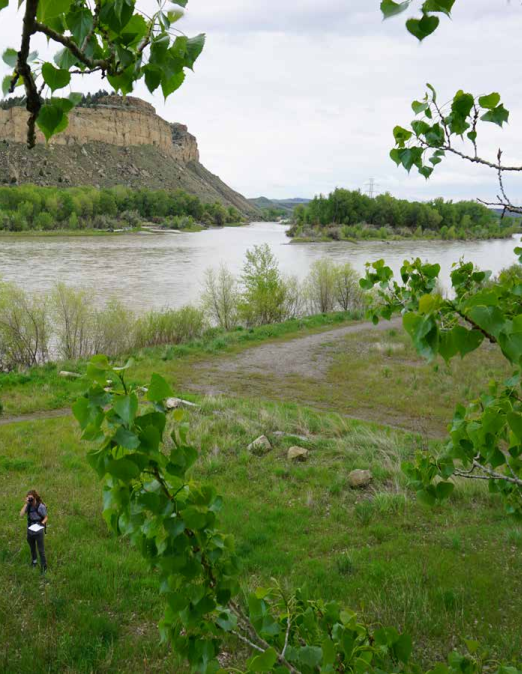 billings parks